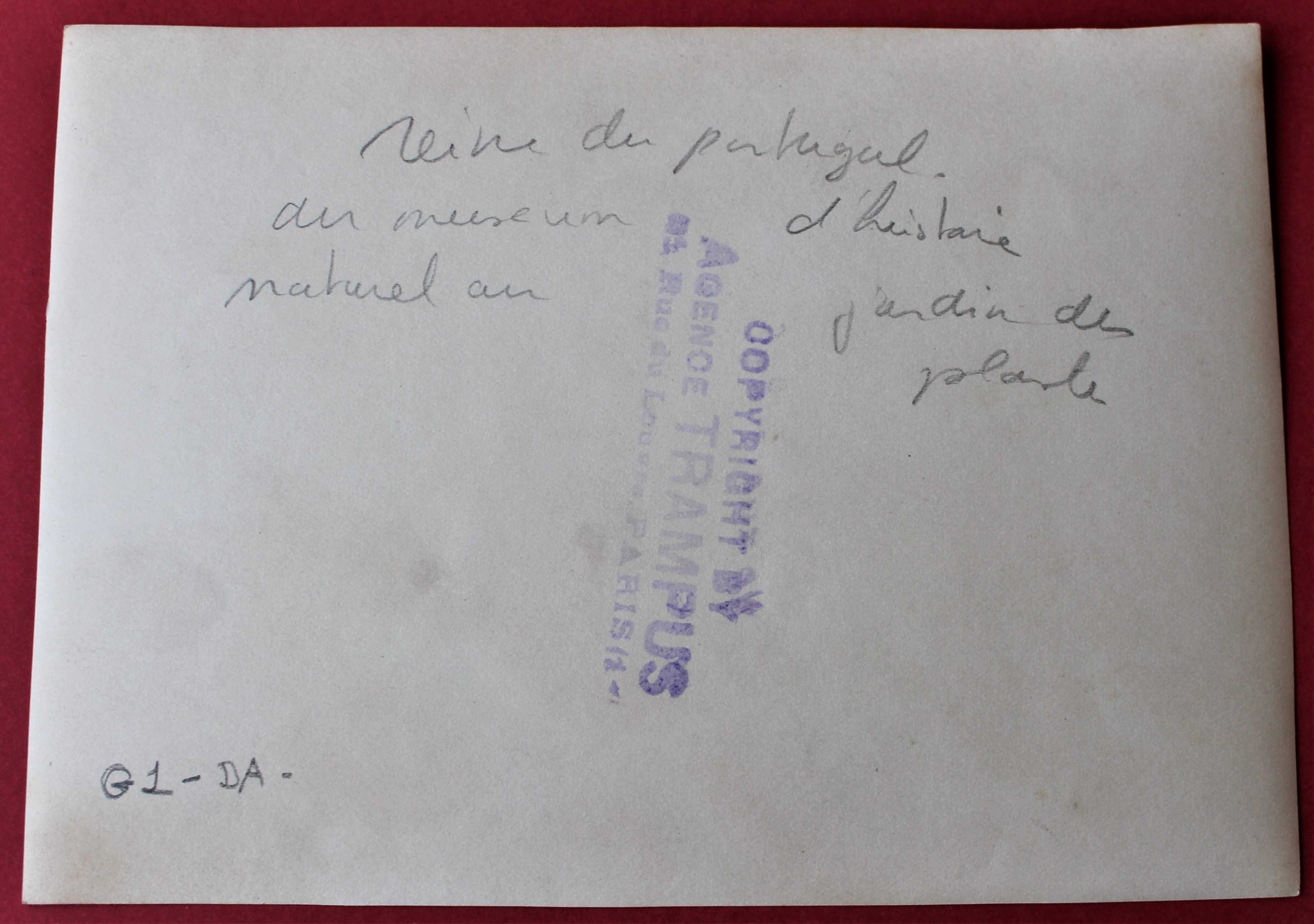 RAINHA D. AMÉLIA visita o Museu de História Natural, PARIS