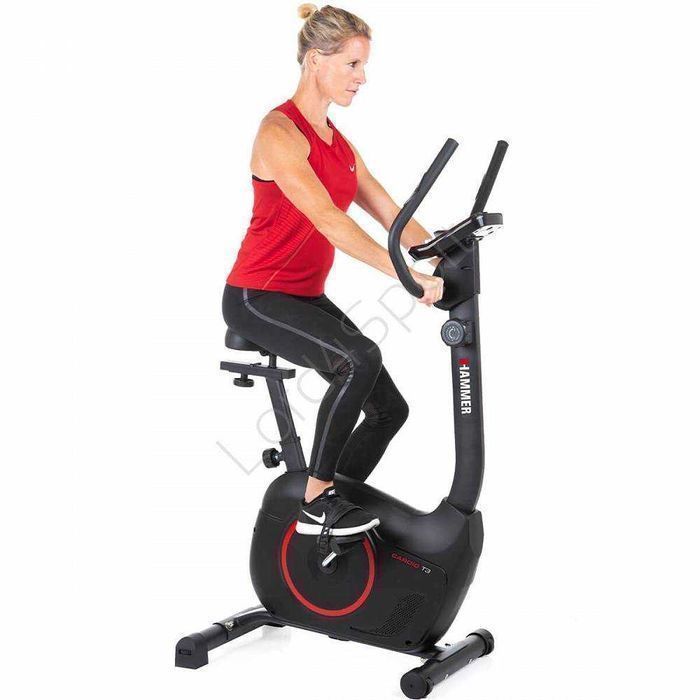 Rower treningowy stacjonarny HAMMER CARDIO T3