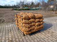 Ziemniaki wineta wielkość sadzeniaki