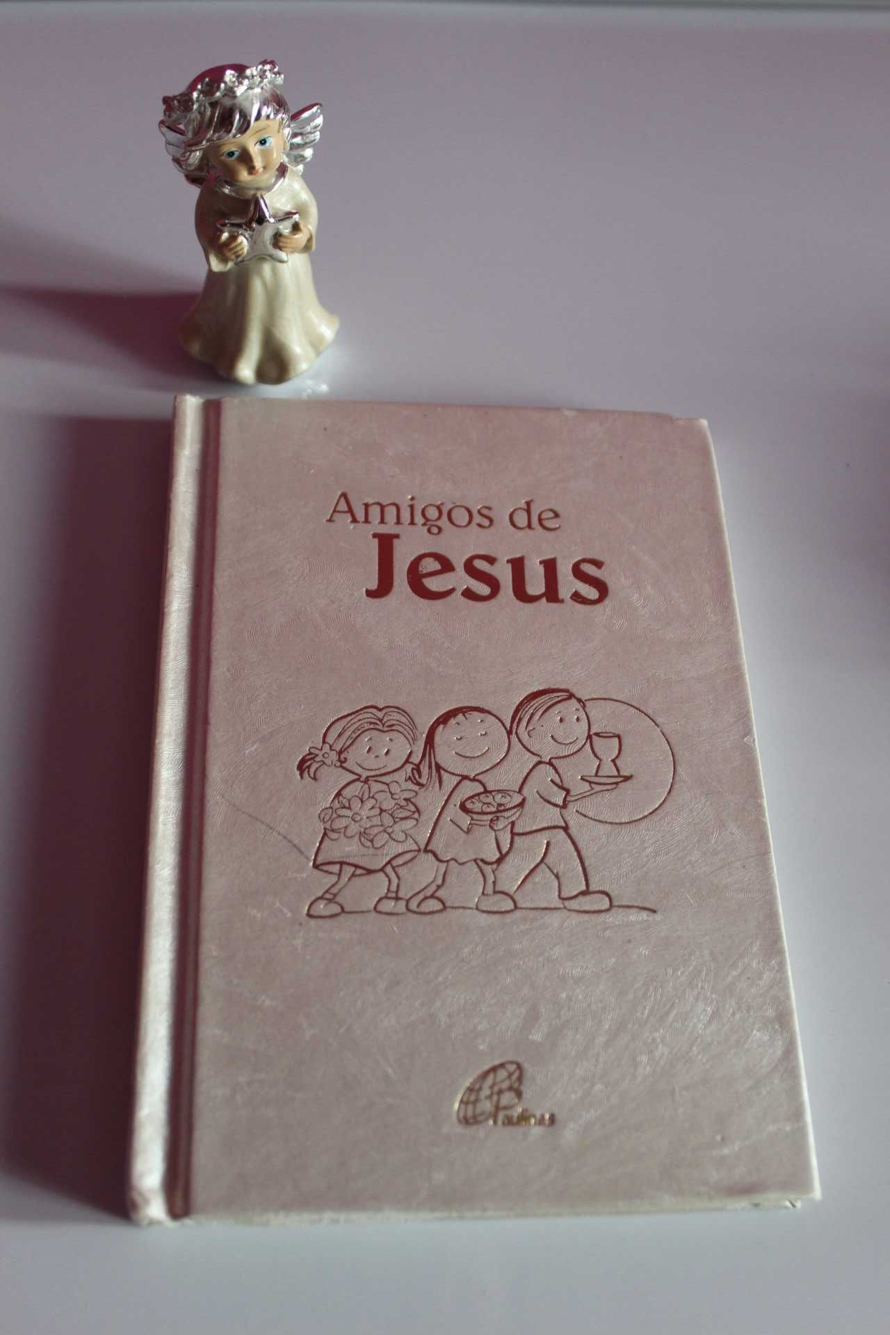 Livro "Amigos de Jesus" para crianças