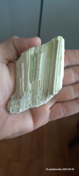 Minerały skamieniałości antygoryt