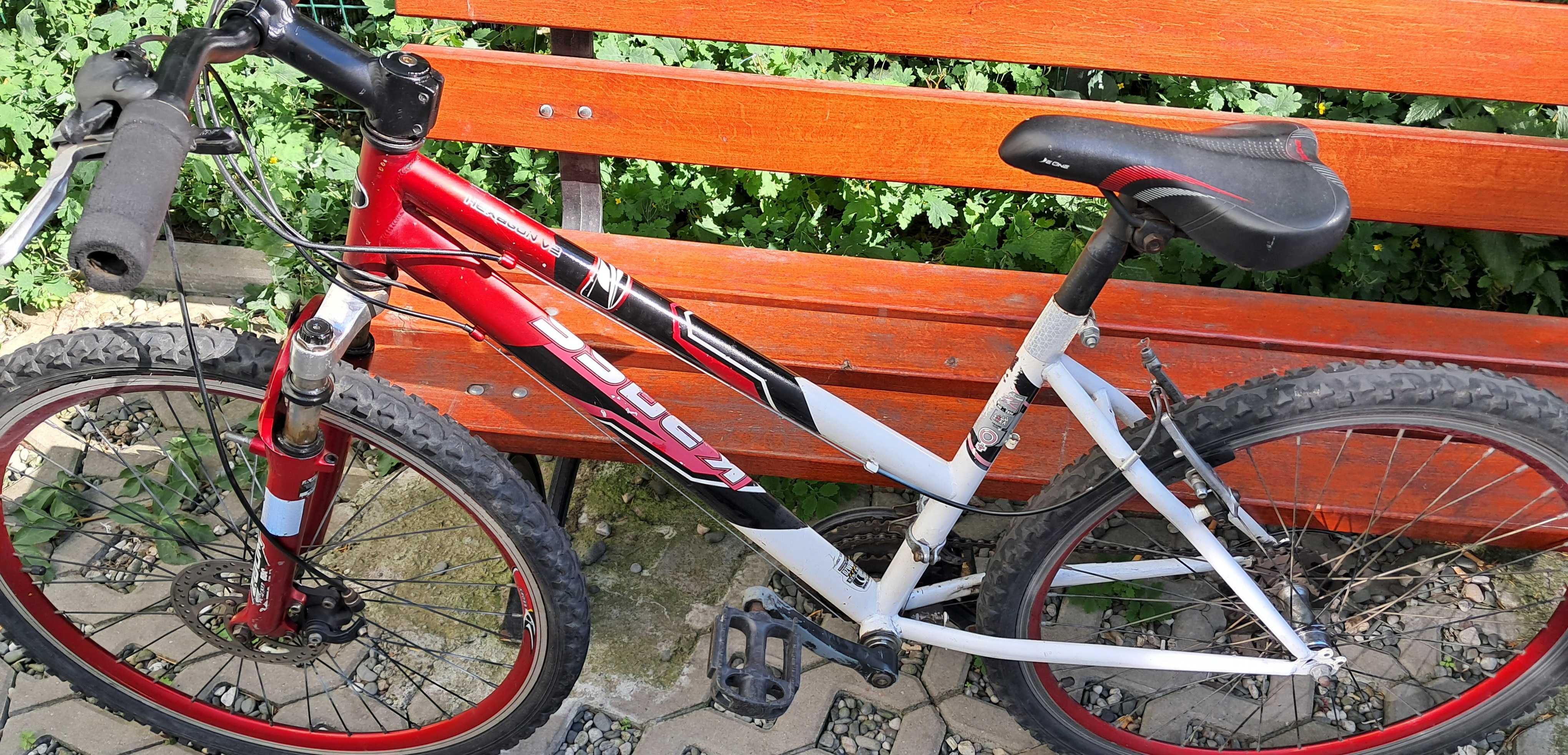 Rower  24'' cale