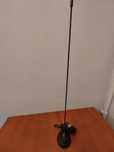 Antena president