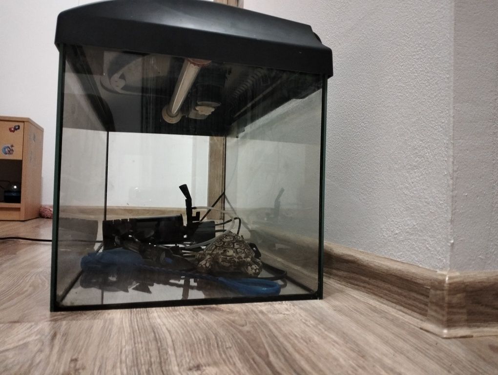 Akwarium 54l z akcesoriami
