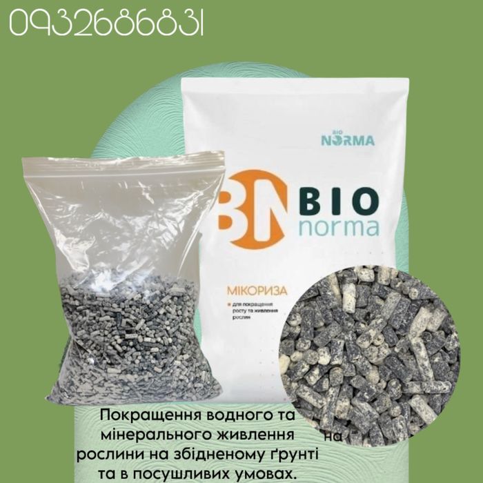 Мікориза , триходерма