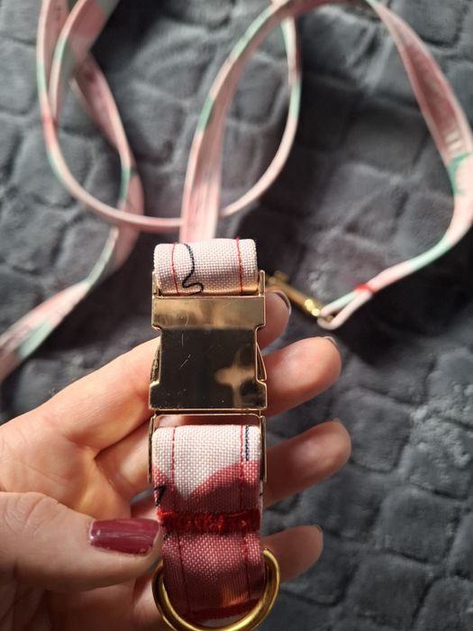 Obróżka i smyczka na małego pieska