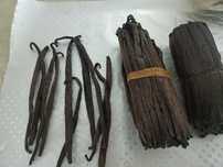 Wanilia z Madagaskaru cena za 975g