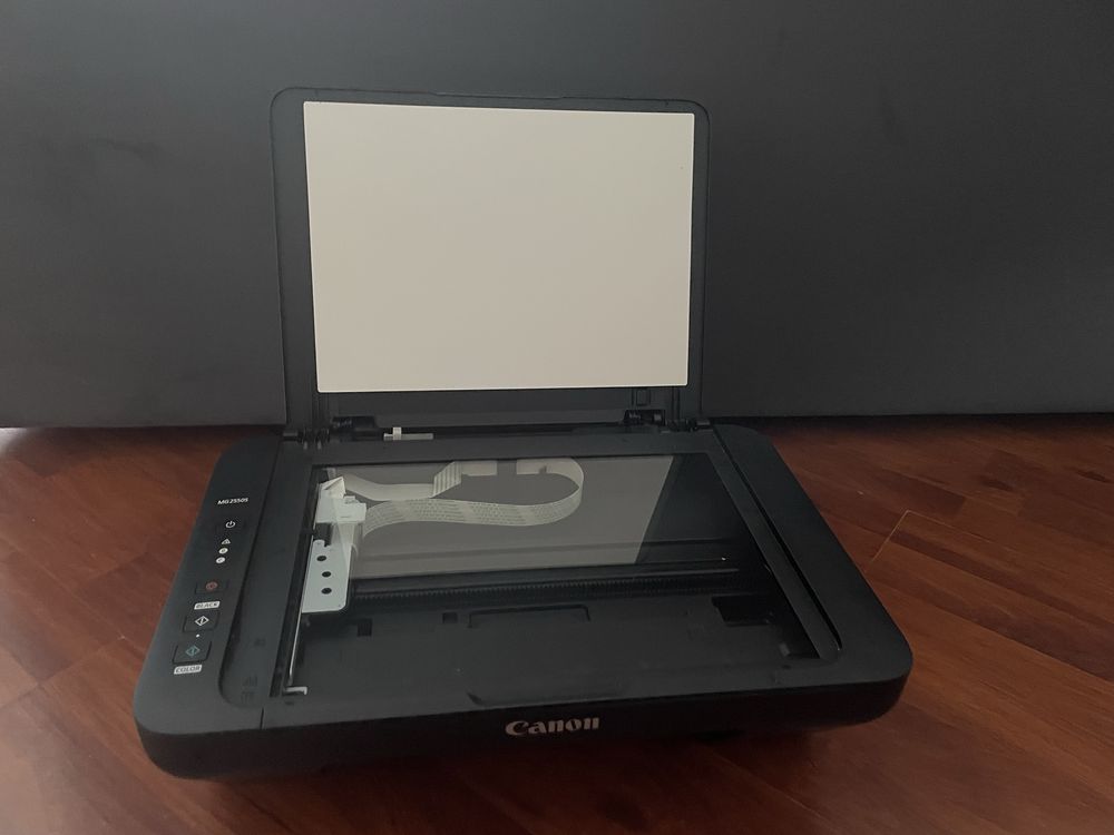 Urządzenie wielofunkcyjne, drukarka Canon PIXA MG2550S. Sprawna !