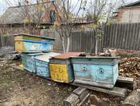 Продам улики для пчел