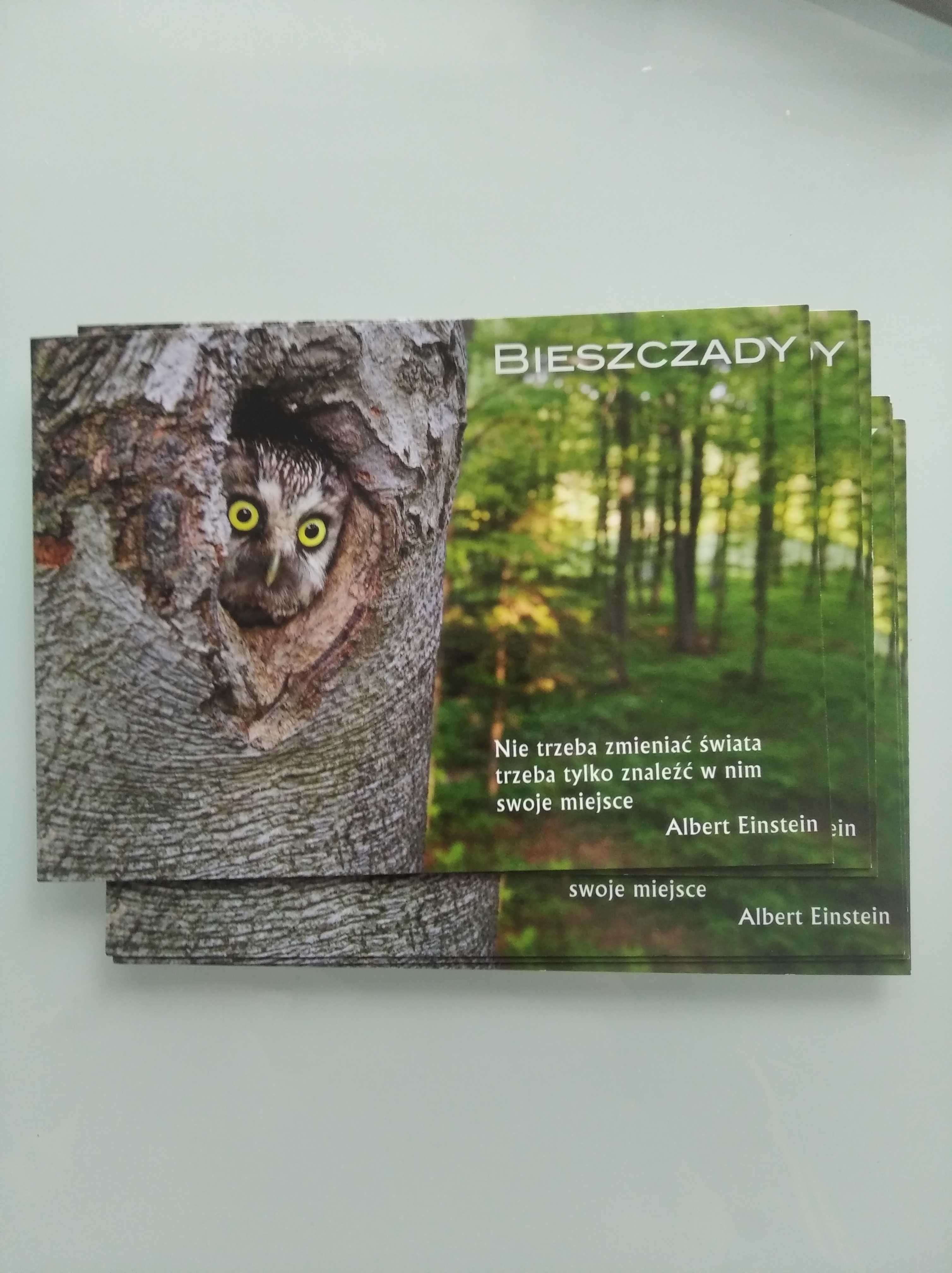 Pocztówka Bieszczady z sentencja Albert Einstein 6 sztuk