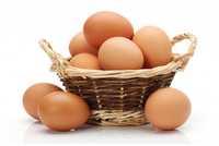 яйца куринные домашние