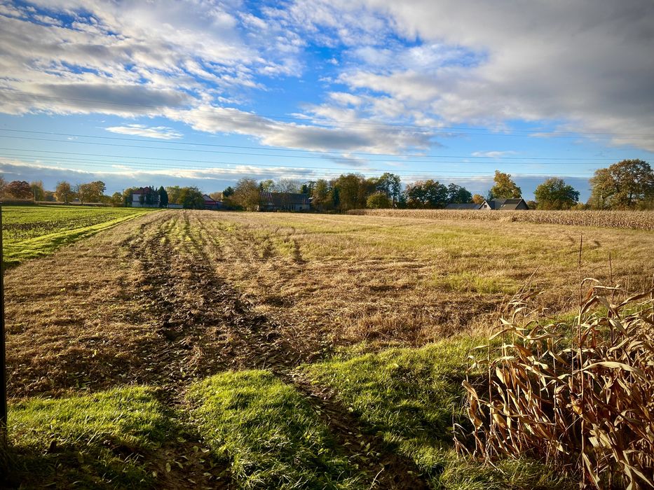 Działka z WZ ! Budowalno Rolna 31a