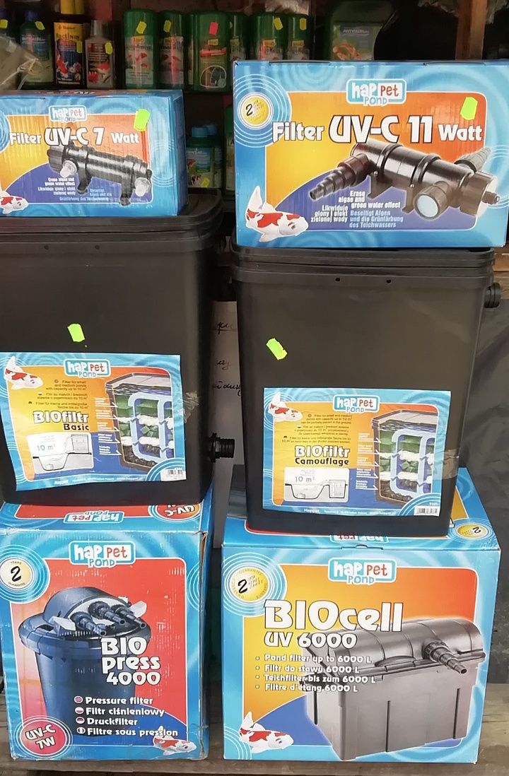 Ryby do oczek wodnych
