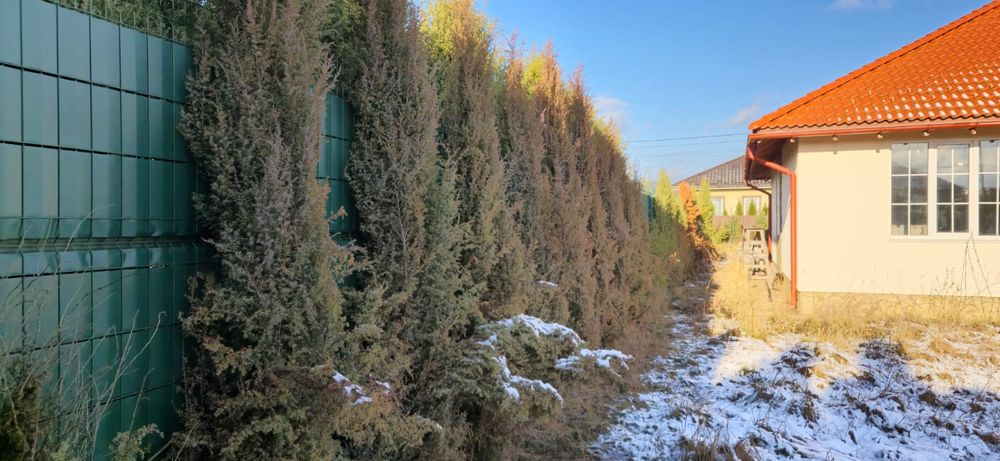 Продам дом в пригороде Киева