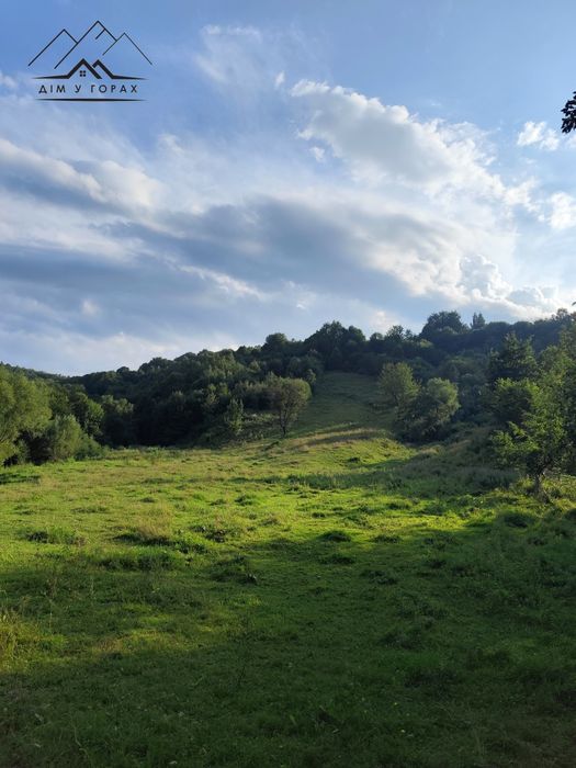 Продаж земельної ділянки 1.6 га. з гарним краєвидом у с. Шешори