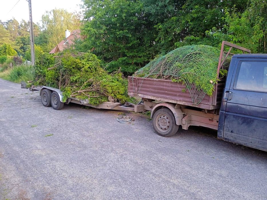 Wycinka drzew i krzewów niwelacja terenu usługi mini koparka rozbiórki