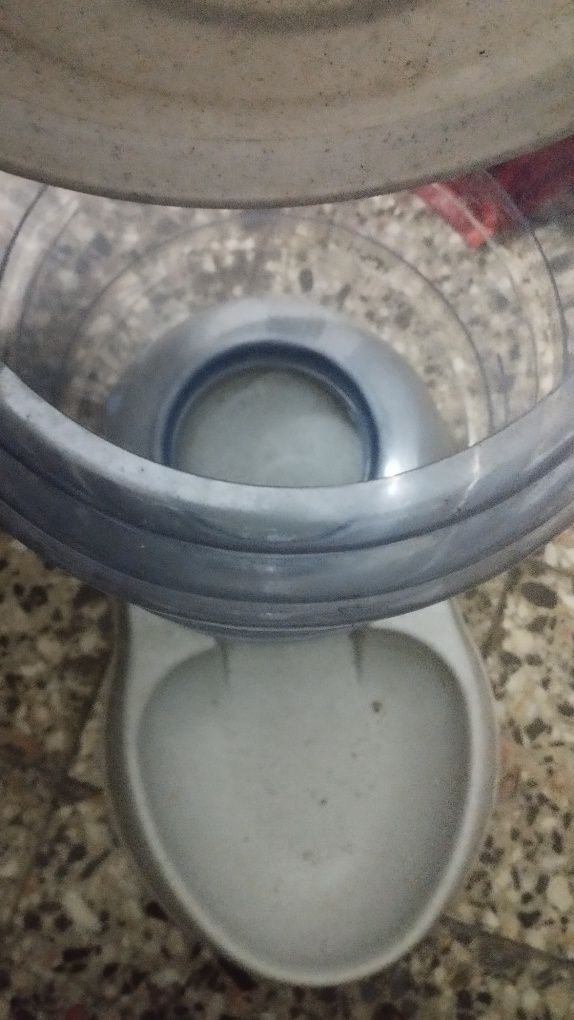 Bebedouro 11 lts para animais