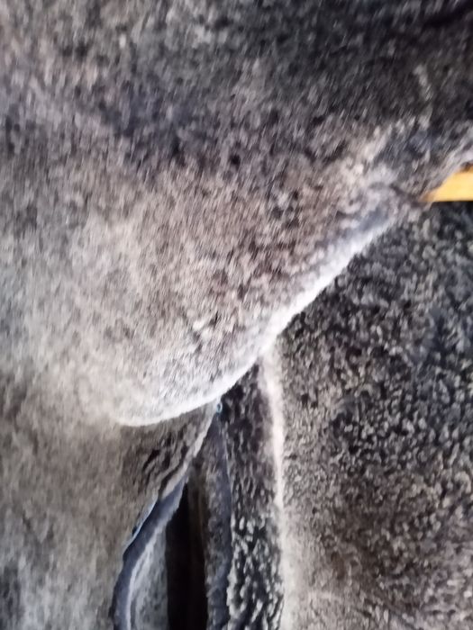 Дубленка мужская