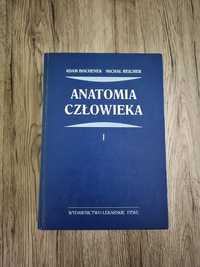 Anatomia człowieka Bochenek Tom 1