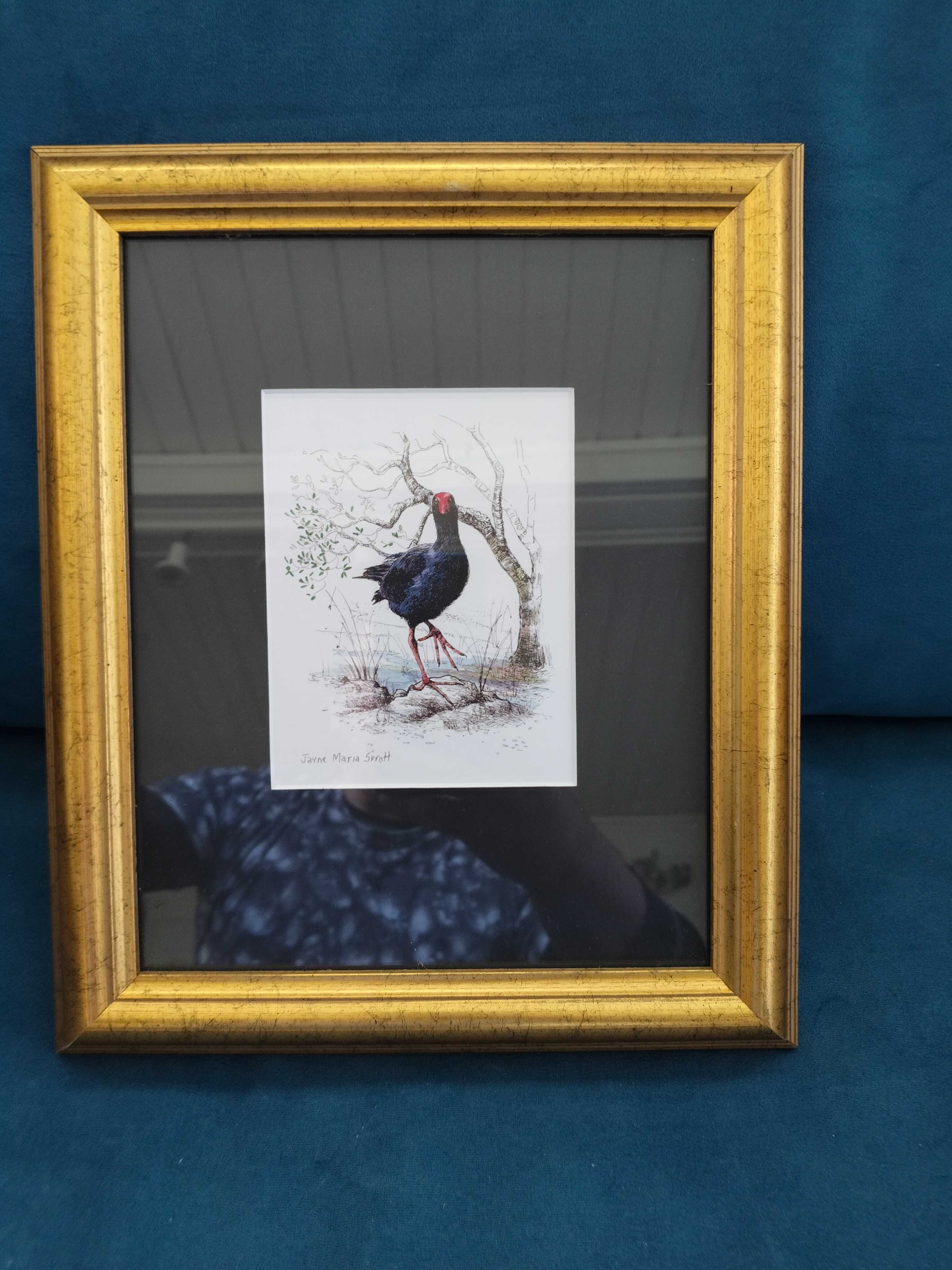 Ręcznie malowany ptak z Nowej Zelandii, Pukeko w ramie sygnowa