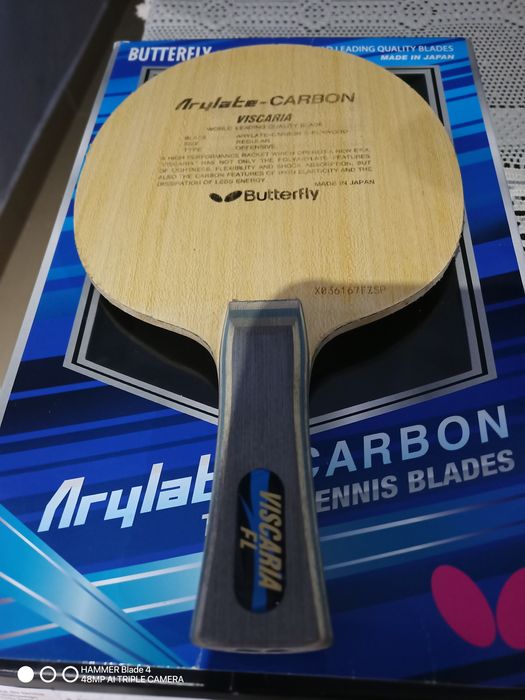 Butterfly Viscaria -FL