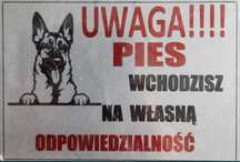 Tabliczka ostrzegawcza UWAGA PIES