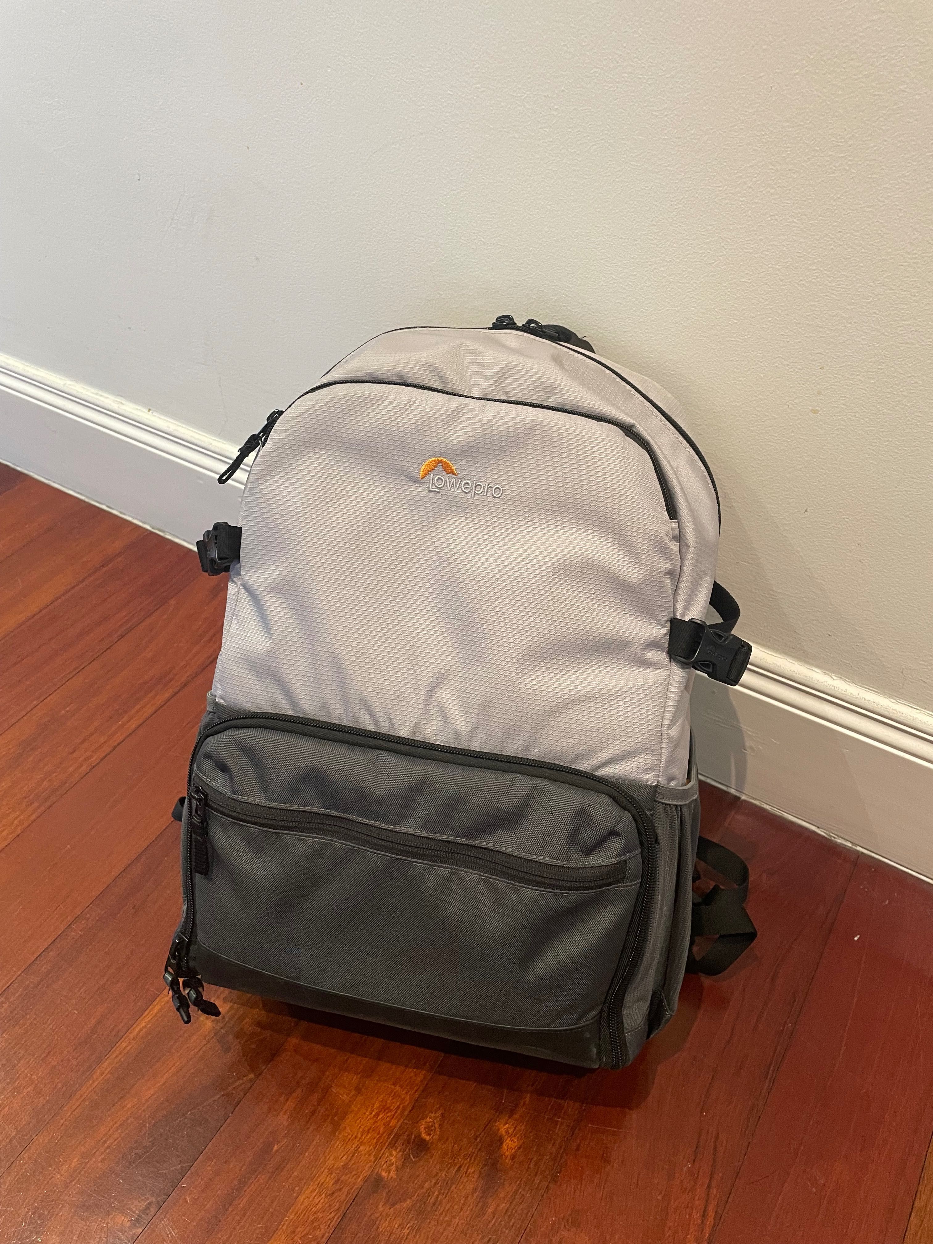 Lowepro mochila TruckeeBP 250 LX (cinza)
