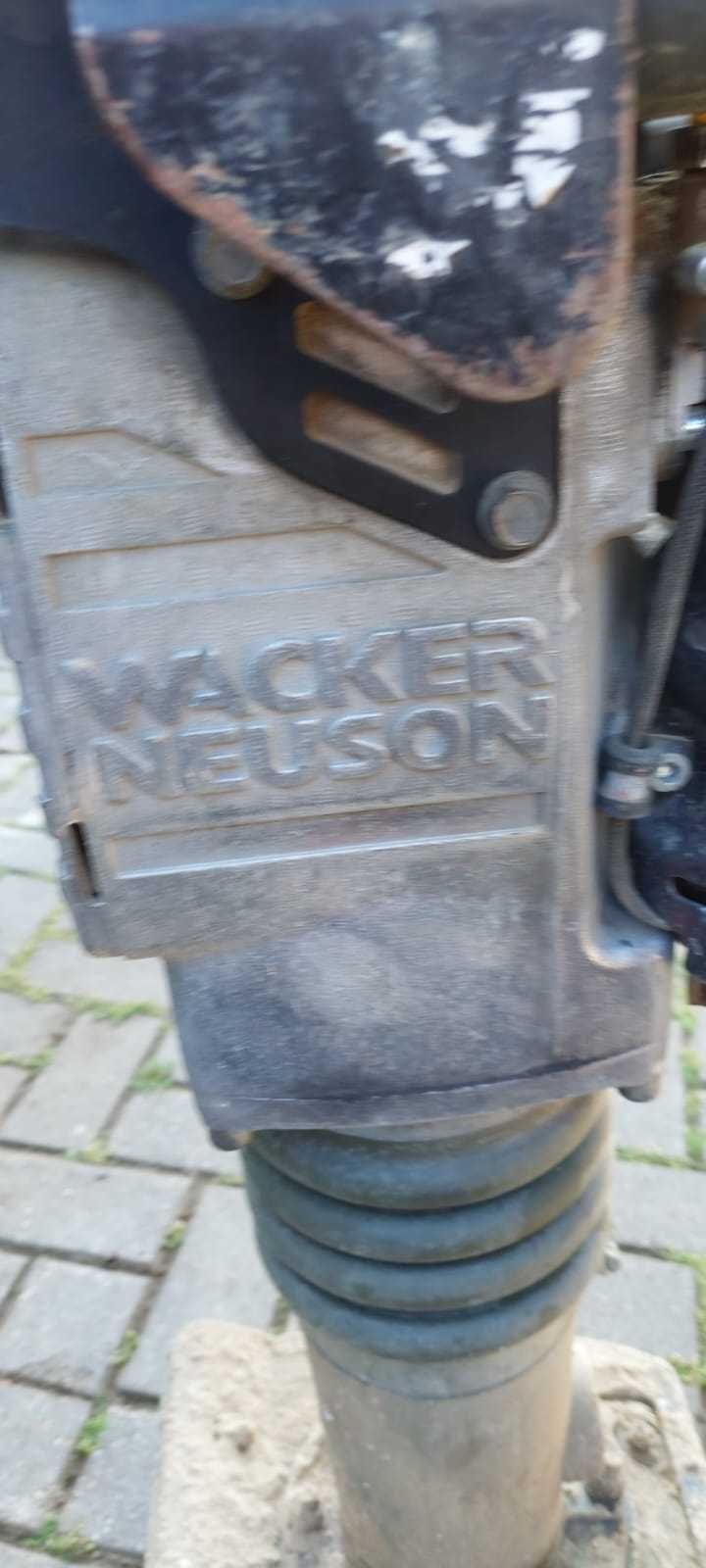 Skoczek Wacker Neuson BS50-2i