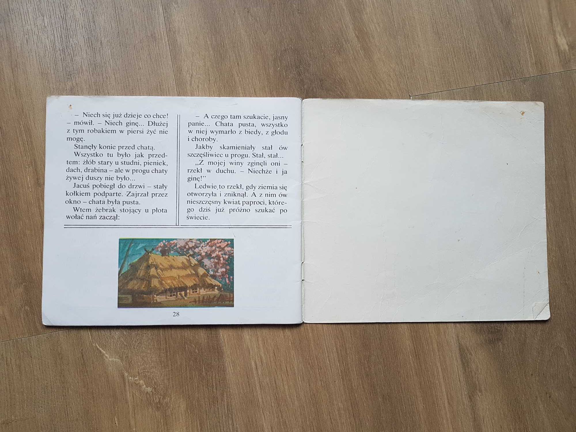 Kwiat paproci Józef Ignacy Kraszewski Seria z krasnalem 1981 rok KAW