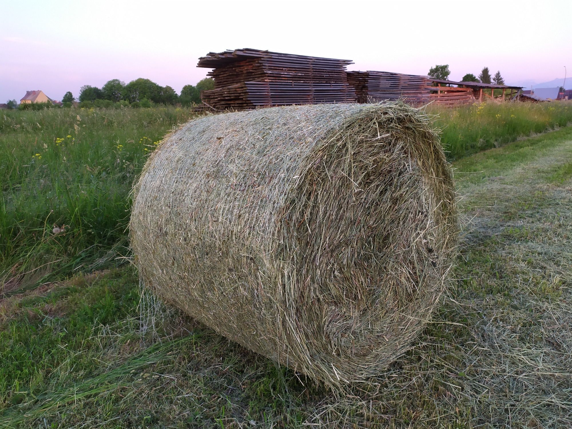 Bale bele siana suche owijane siatką