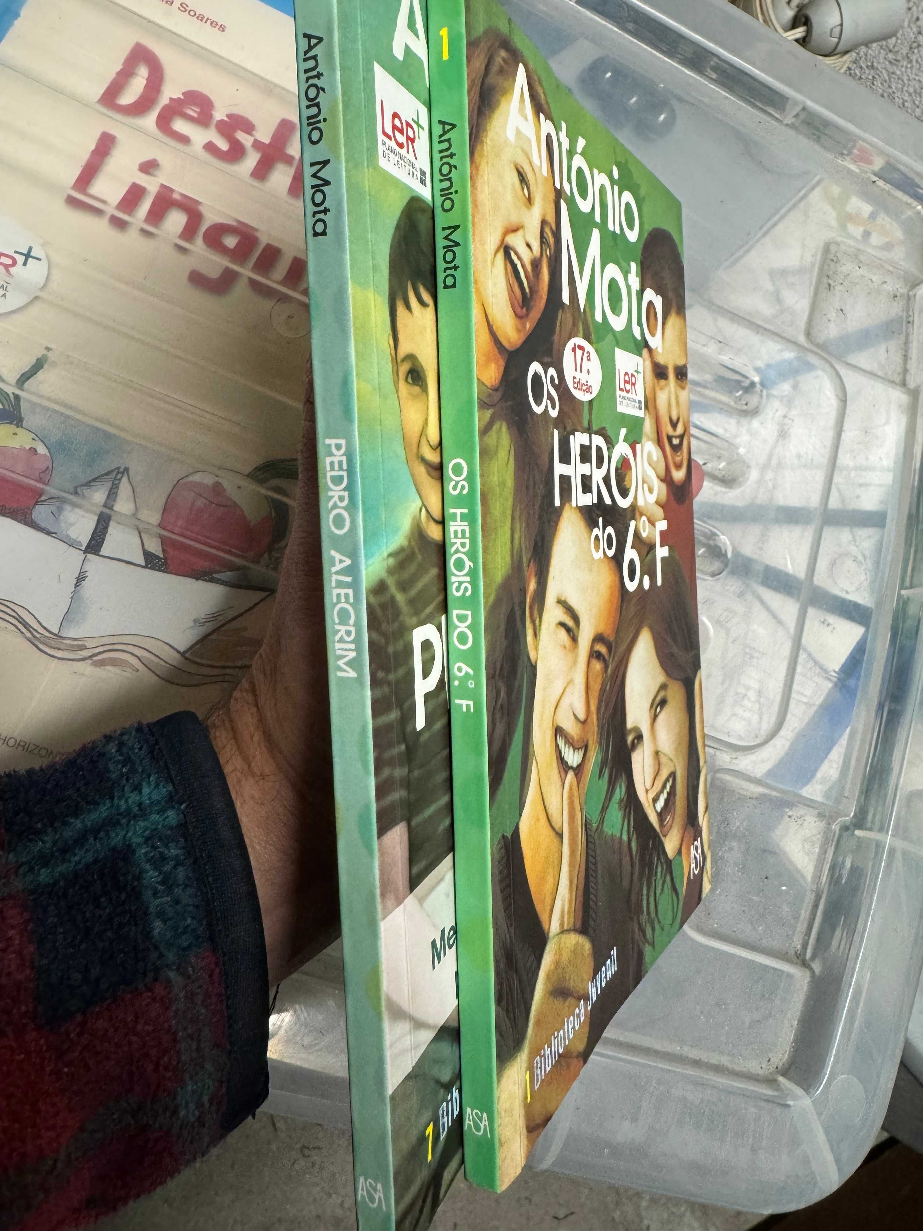 Os Heróis do 6º F - António Mota