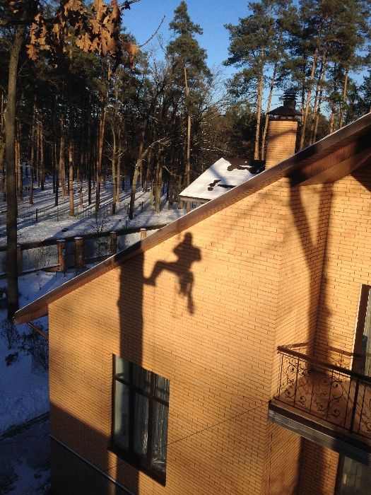 Видалення та обрізка дерев. Спиляти дерево