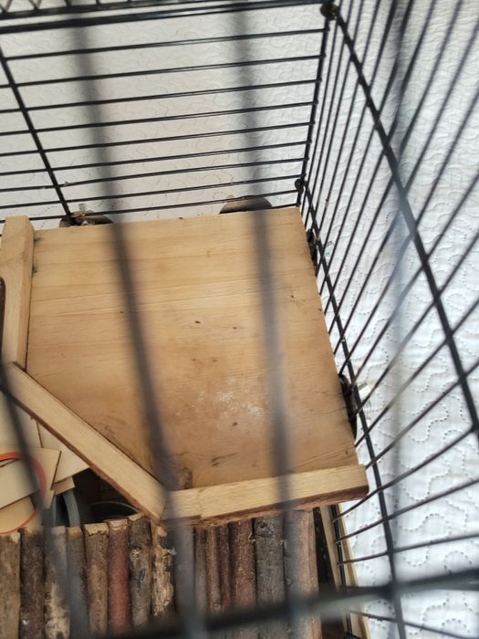 Klatka dla chomika akcesoria