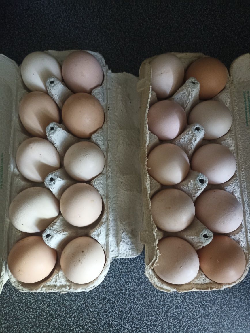 Свіжі домашні яйця по 45 грн