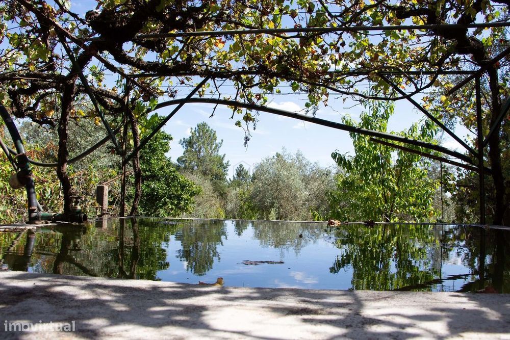 Quinta na Maxieira – Ferreira do Zêzere