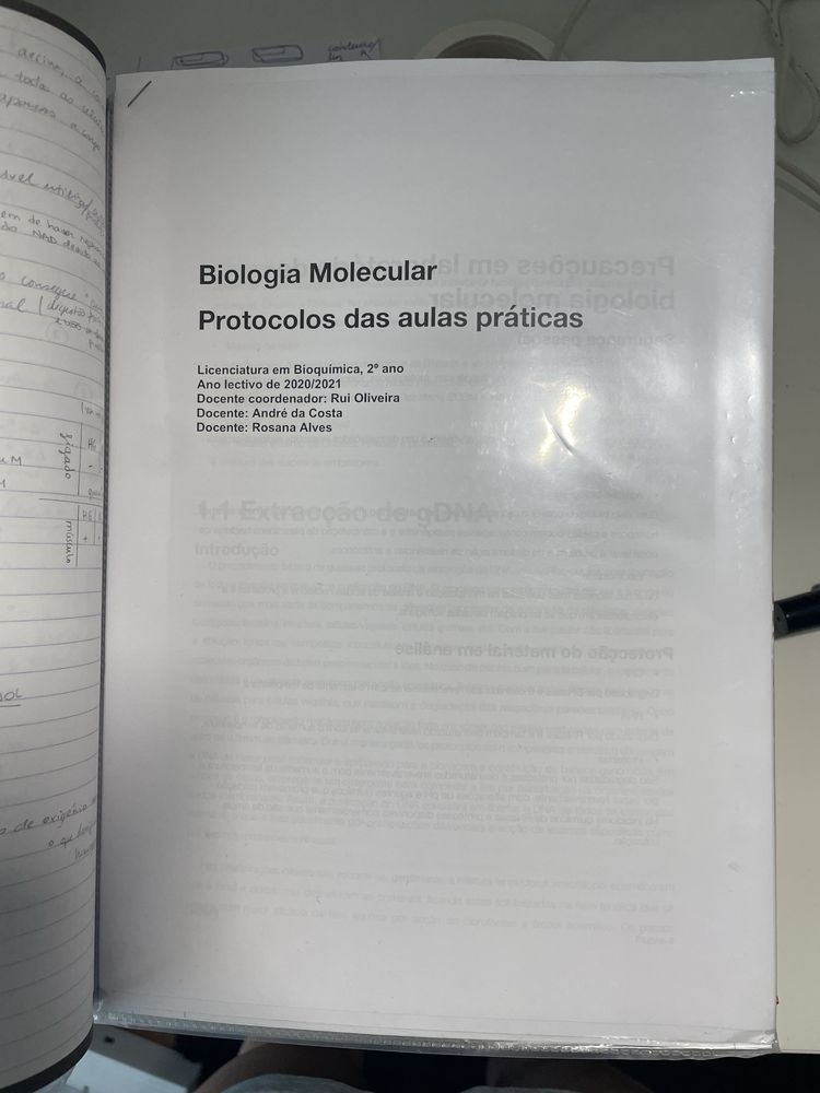Conteudo Bioquimica
