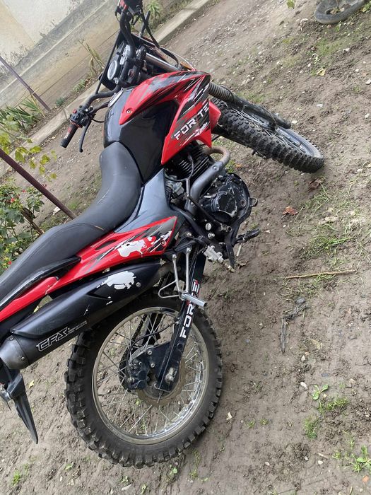 Forte 250 cross