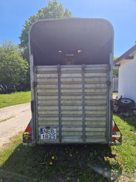 Przyczepka do przewozu zwierząt