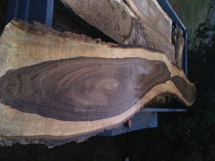 Suche foszty orzech włoski / Plastry / Żywica / Monolity /Tarcia/Deski