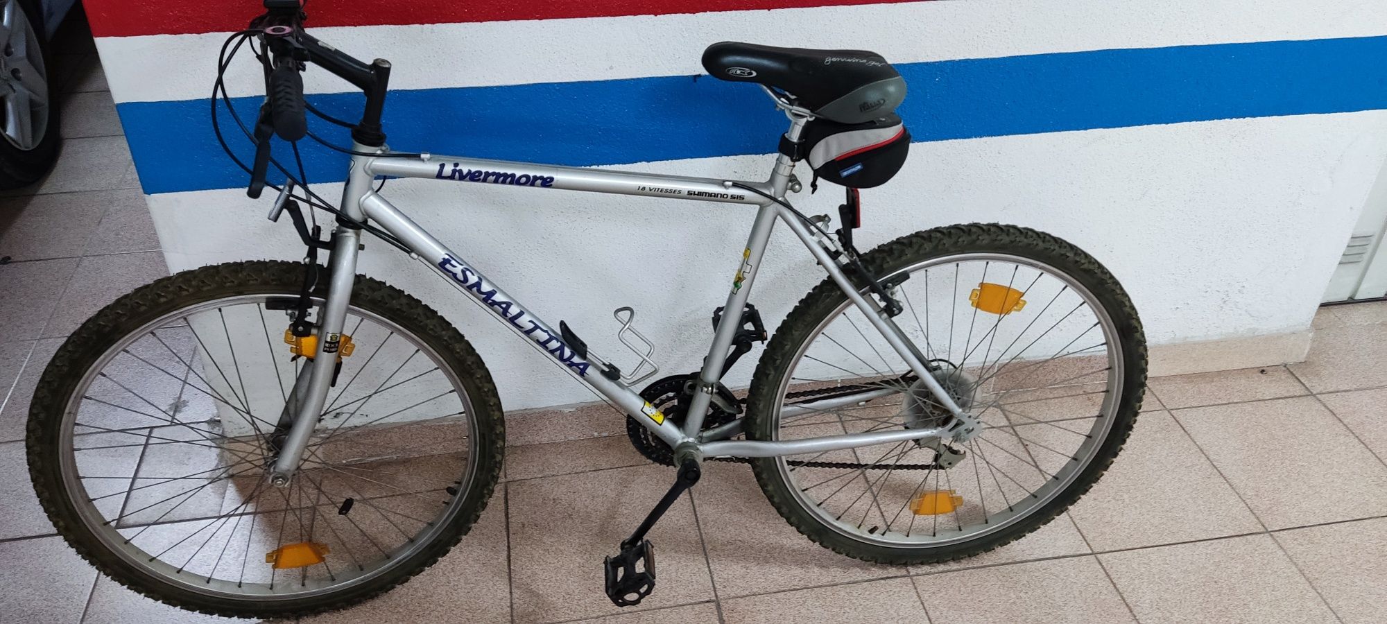 Bicicleta esmaltina modelo Livermore