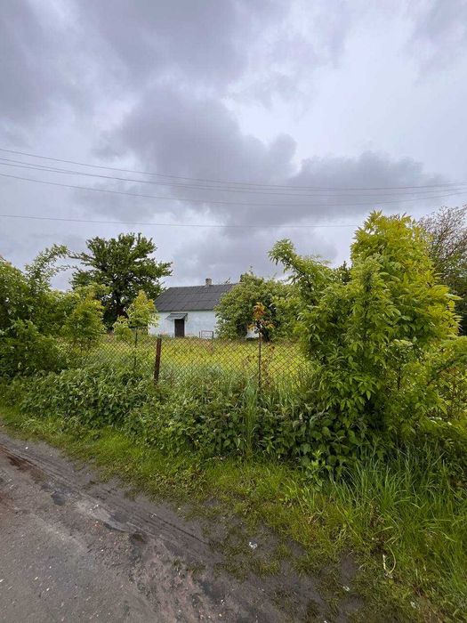 Продаж земельної ділянки Банюнин