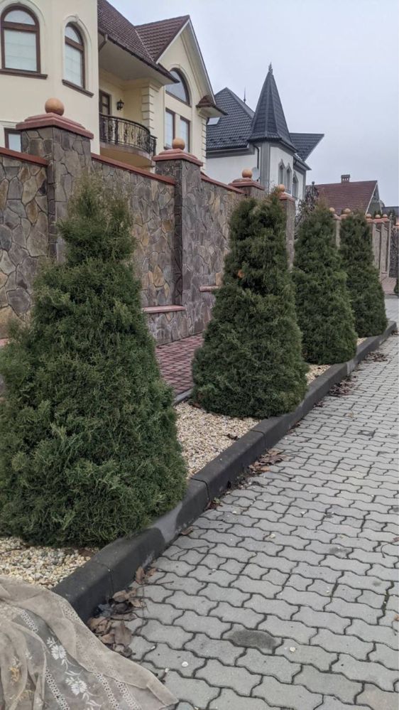 Послуги садівника, Догляд за територією, Стрижки хвойних та інше…