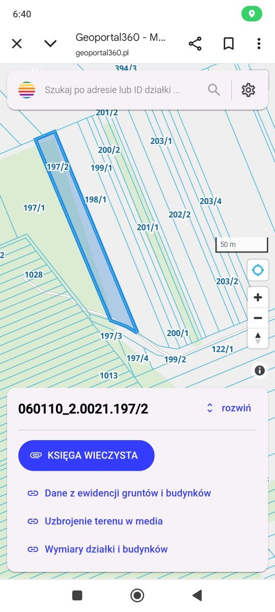 Działka leśna, las brzozowy 45 ar