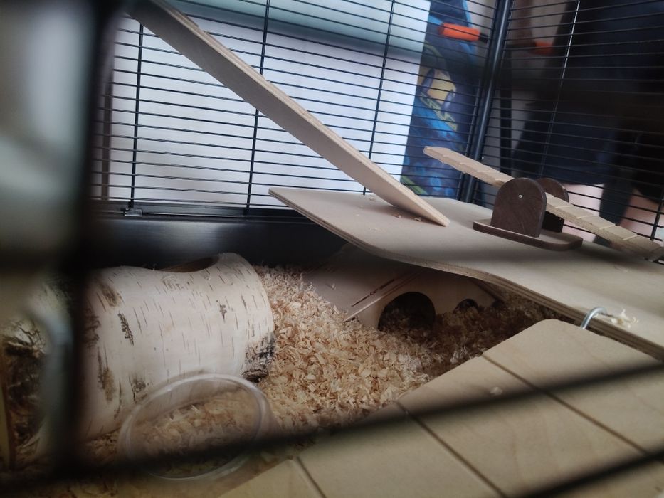 Klatka dla chomika pełne wyposażenie