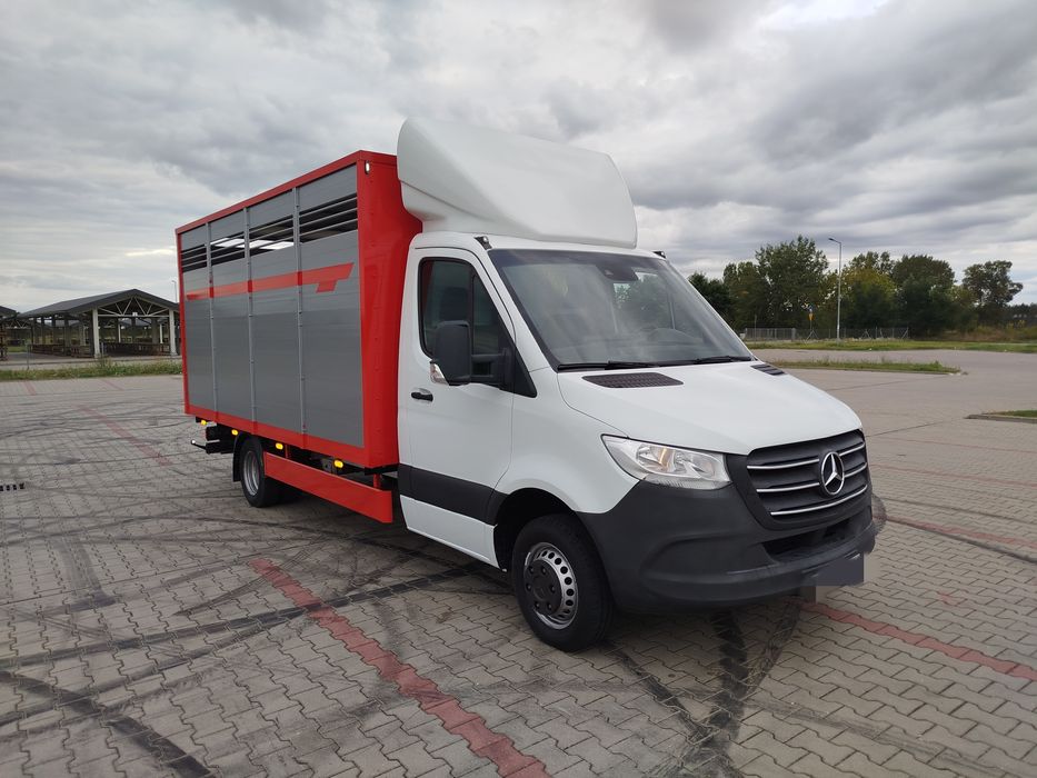 Mercedes Sprinter 514 CDI 516 CDI  519 CDi 513 CDi żywca zwierząt by