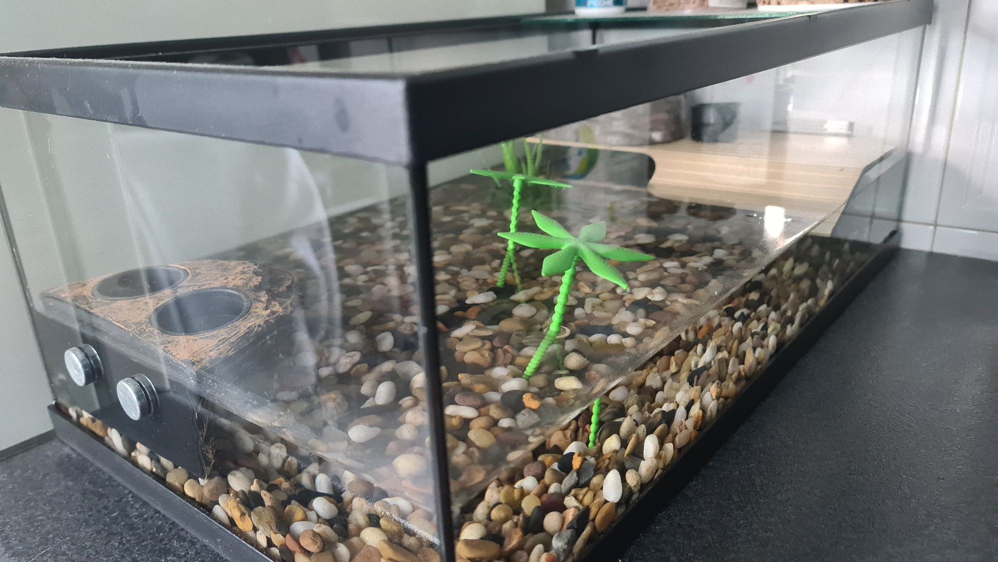 Aquário para tartarugas Tortum 55