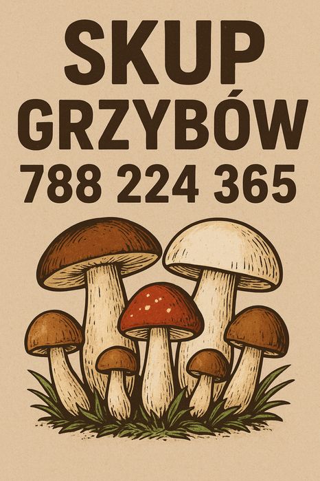S-k-U-P Grzybów Prawdziwki borowiki mobilny