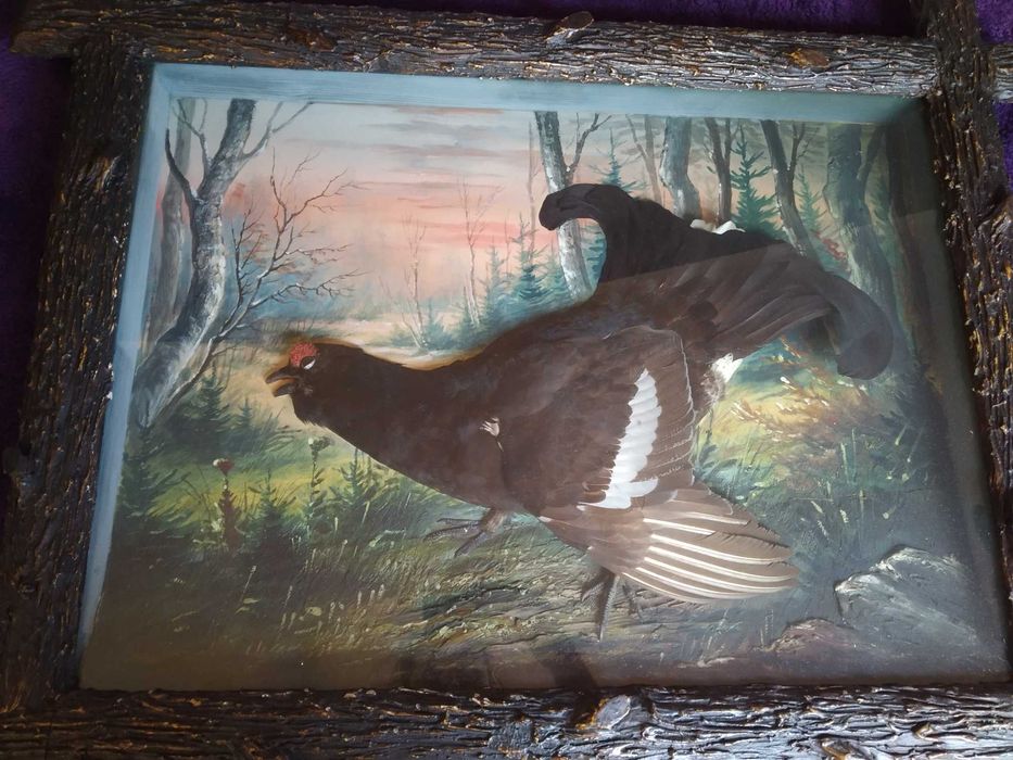Ptasia diorama z cietrzewiem
