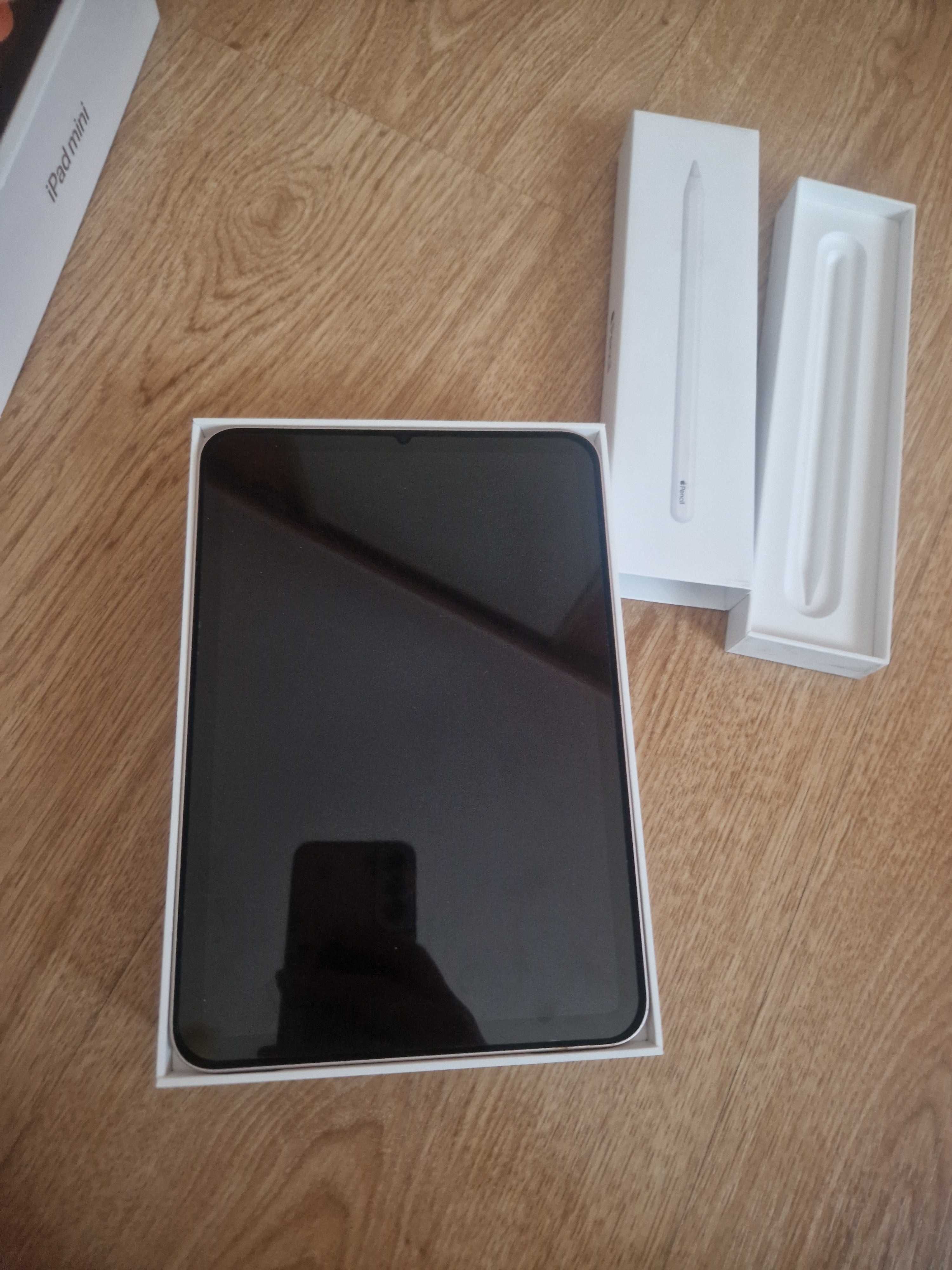 iPad mini 6th generation 256GB