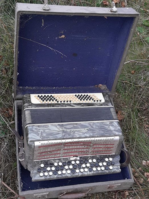 Гармонь,аккордеон